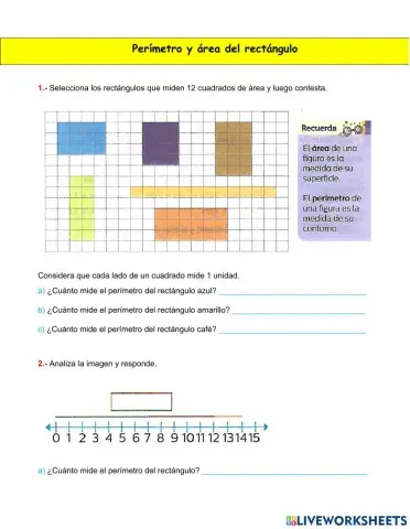 Perímetro y área del rectángulo