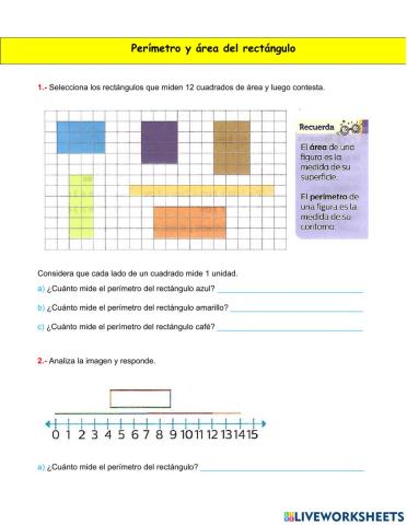 Perímetro y área del rectángulo