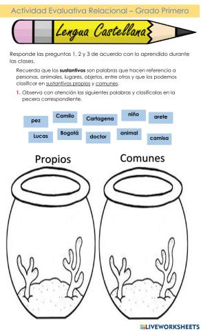 Actividad Evaluativa