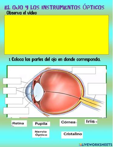 El ojo y los instrumentos ópticos
