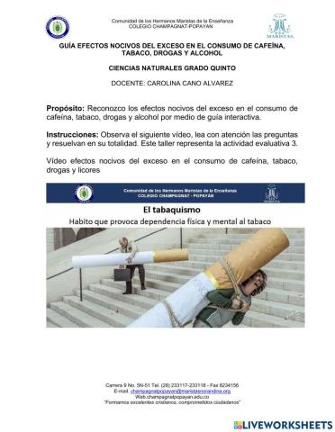 Efectos nocivos del exceso en el consumo de cafeína, tabaco, drogas y alcohol