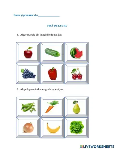 Identificarea imaginilor care fac parte dintr-o categorie
