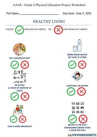 G4 T3 PE Project Worksheet