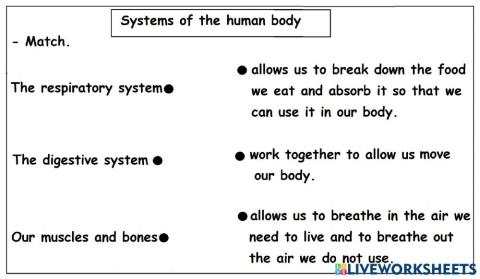Systems of the human body