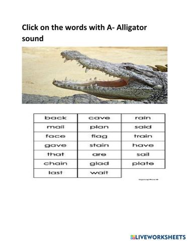 A-Alligator