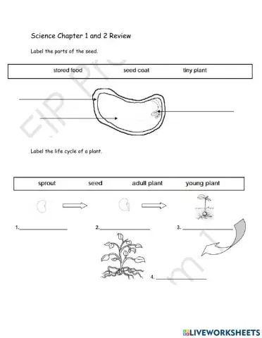 Review of Ch 1 and 2 Science Grade 1