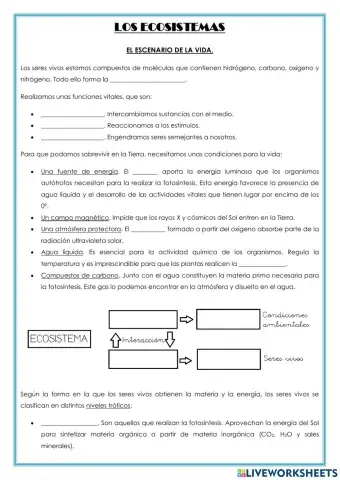 Los ecosistemas 1 ESO