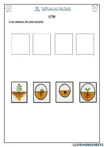 Life cycle of a plant