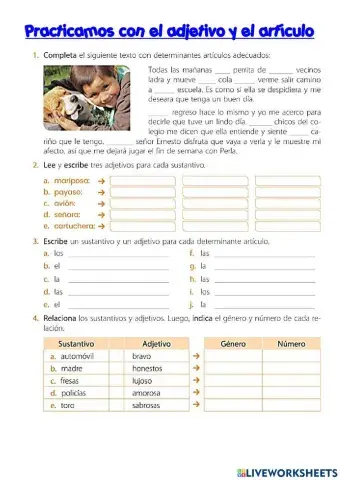 Sustantivo-adjetivo-articulo