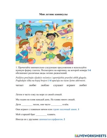 Мои летние каникулы