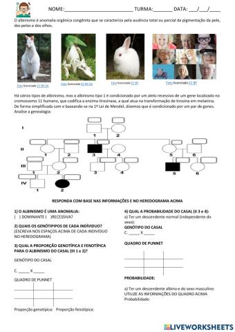 Genética 1ª Lei de Mendel: dominância, co dominância, genes letais e polialelia