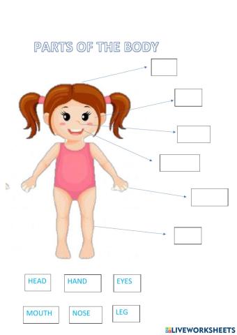 Parts of the body
