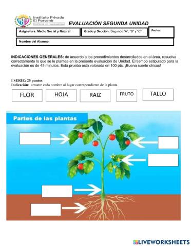 Evaluación Final 2da. Unidad Medio Social y Natural 