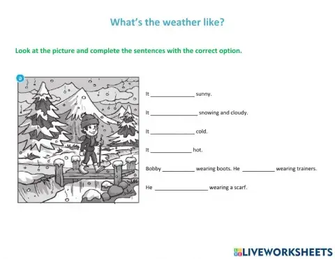 What's the weather like?