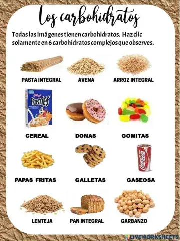 Los carbohidratos