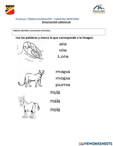 Evaluación