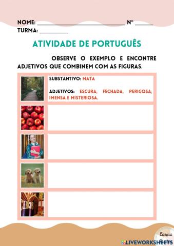 Atividade de substantivos e adjetivos