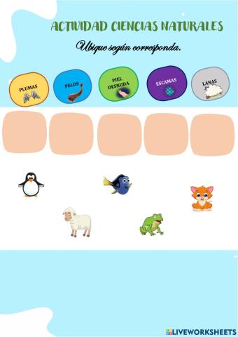 Característica de los animales