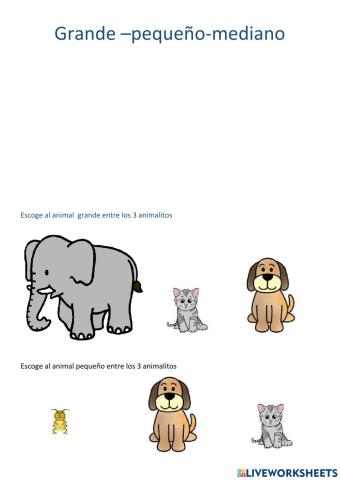 Grande -pequeño
