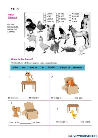 There is-are - Farm Animals - Prepositions