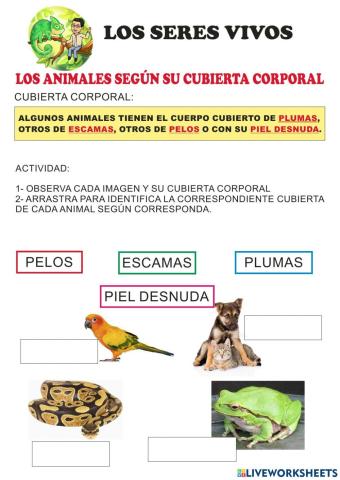 Piel de los animales