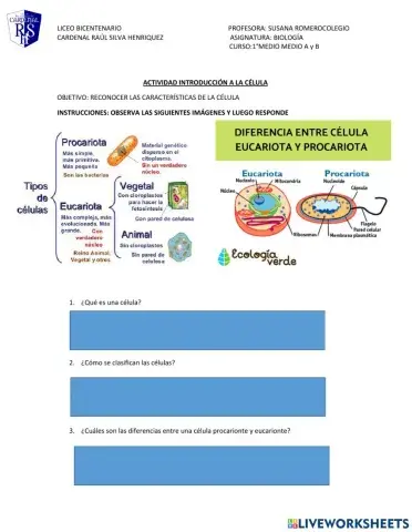 Semejanzas y diferencias células procariontes y eucariontes