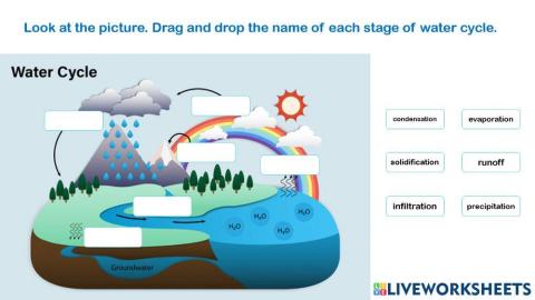 Water cycle