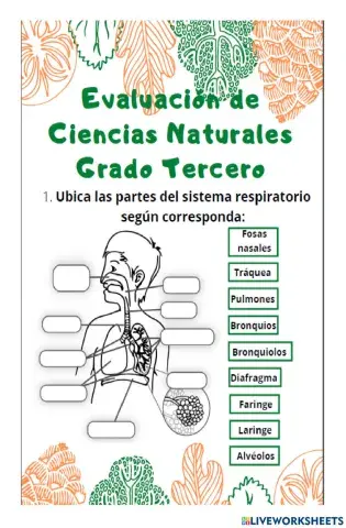 Evaluación de ciencias