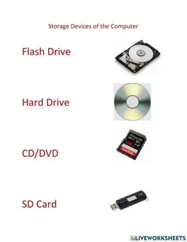 Introduction to the Computer