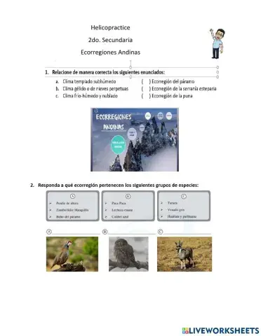 Ecorregiones Andinas