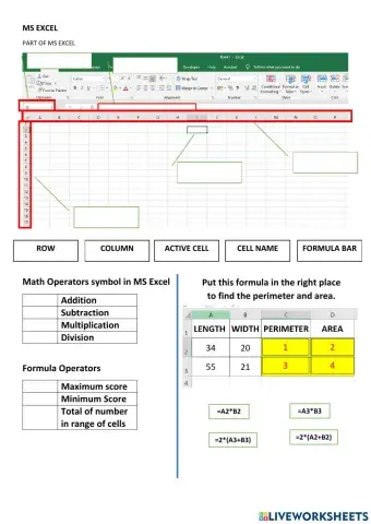 MS Excel Review