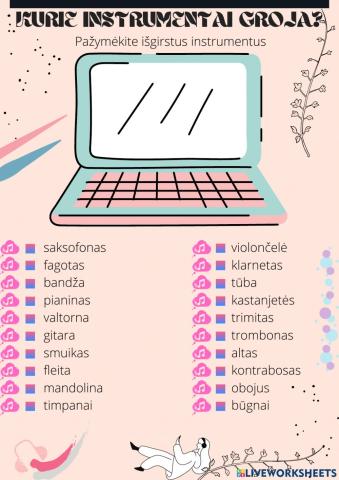 Muzikos instrumentų atpažinimas