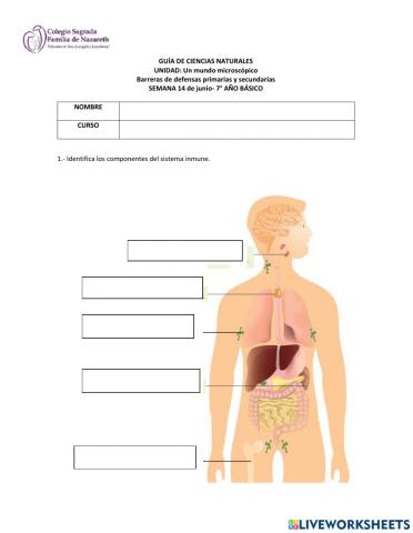 Barreras de defensas