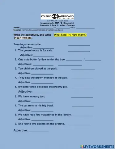 Adjectives -How many-What Kind?