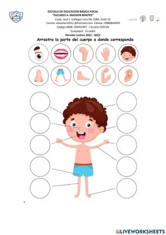 Partes del cuerpo humano