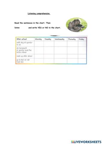 Amy, what do you do after school?