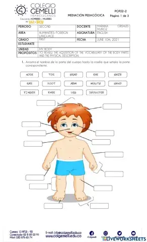 My body, Physical description - 2nd term exam - 1st grade