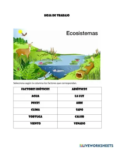 Ecosistemas