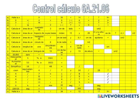 Control càlcul 6A.21.06