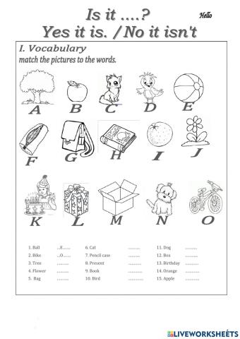 Match the words-pictures