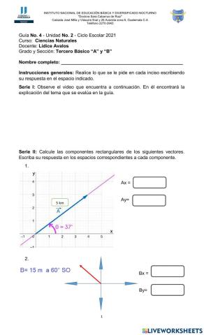 Componentes rectangulares de un vector
