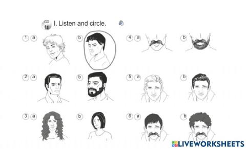 Physical description