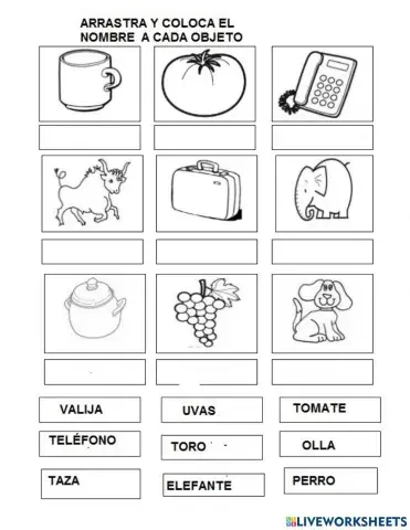 arrastra y coloca el nombre