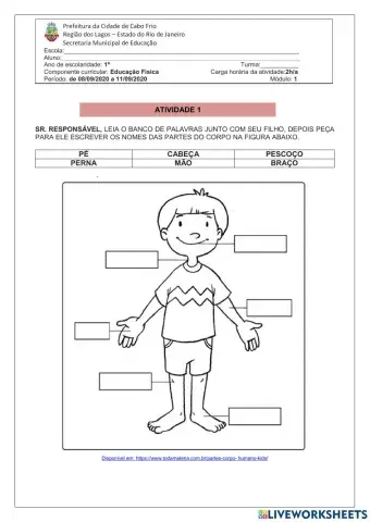 Conhecendo o  meu corpo