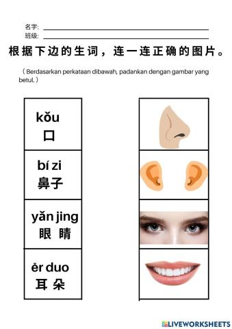 T2 单元二我有一双眼睛