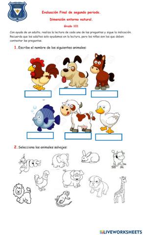 Evaluación Entorno Natural