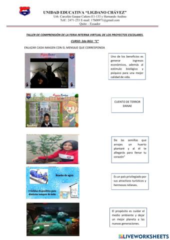 Ejemplo de comprensión lectora