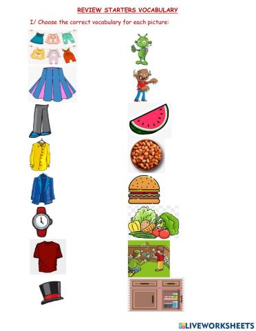 Review Staters Vocabulary (1)