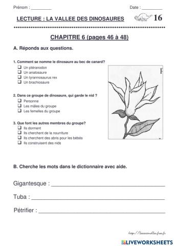 Chapitre 6-La vallée des dinosaures