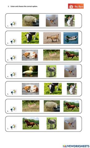 Farm Animals and Actions 2